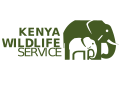 Kenya Wildlife